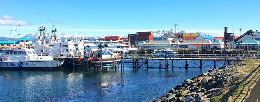 入口海运：阿根廷海运入口到中国门到门双清