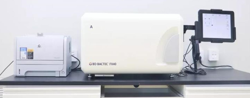 全自动化学免疫剖析仪入口广州黄埔港通关攻略