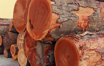 木料入口报关怎样申报？？？？？？木料入口清关注重事项？？？？？？