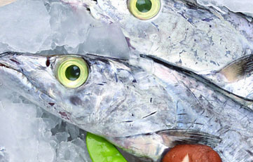 冻带鱼入口报关注重事项？？？？？？？？