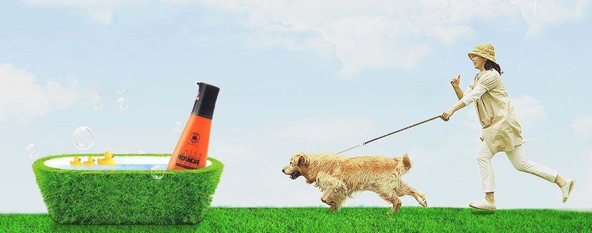 宠物沐浴露入口报关要那些申报手续和关税