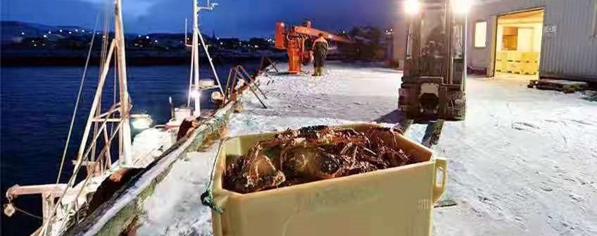 外洋活海鲜入口广州可以清关吗？？？？？？