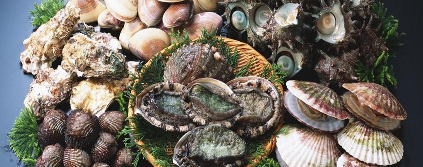 海鲜怎么入口报关？？？？？？？？有哪些注重事项？？？？？？？？